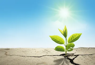 Illustration reno - Image 1