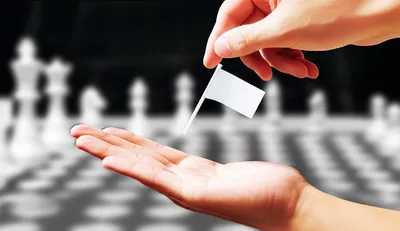 Illustration conceded - Image 1