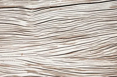 Illustration caulked - Image 1