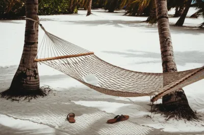 Illustration recumbent - Image 1