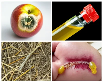 Illustration stale - Image 1