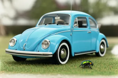 Illustration beetle - Image 1