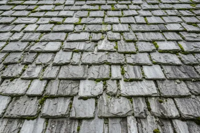 Illustration slat - Image 1