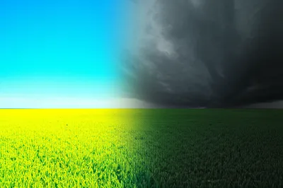 Illustration darkening - Image 1