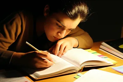 Illustration reviews - Image 1