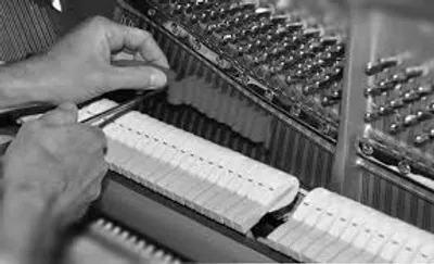 Illustration temperament - Image 2