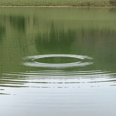 Illustration disturbances