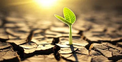 Illustration commencing