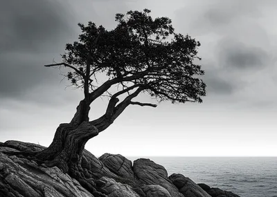 Illustration rude - Image 1