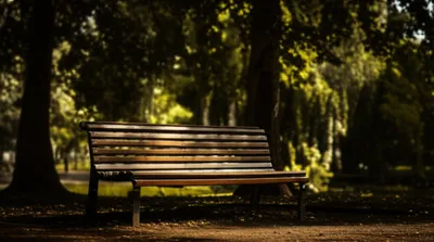 Illustration penumbra - Image 1