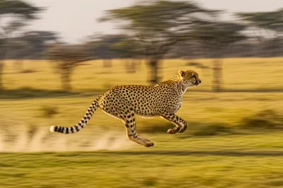 Illustration sprints - Image 1