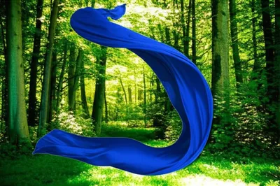 Illustration fluidly - Image 1