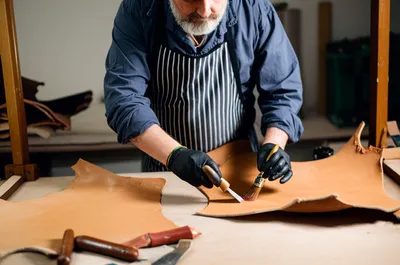 Illustration curriers - Image 1