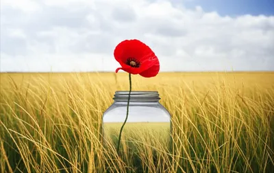 Illustration circumscribed - Image 1