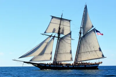 Illustration large - Image 1