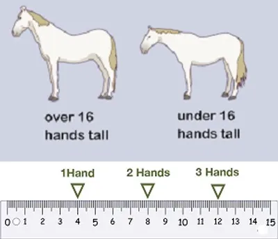 Illustration hand - Image 2