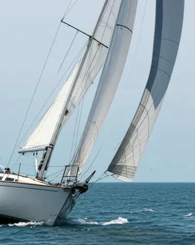 Illustration stays - Image 1