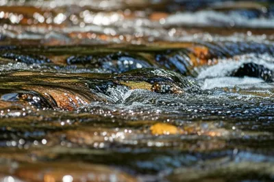 Illustration gurgle - Image 1