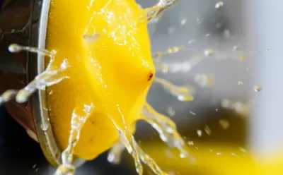 Illustration pungent - Image 1