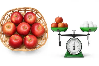 Illustration sixes - Image 1