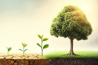 Illustration improvements - Image 1