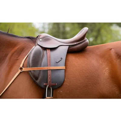 Illustration breastplates - Image 1