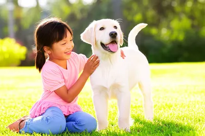 Illustration petting - Image 1