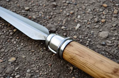 Illustration burs - Image 1