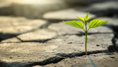 Illustration rebooting - Image 1