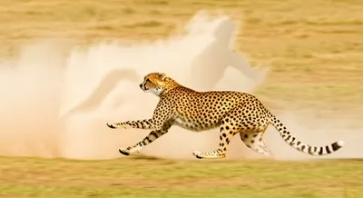 Illustration outrun - Image 1