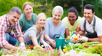 Illustration admired - Image 1