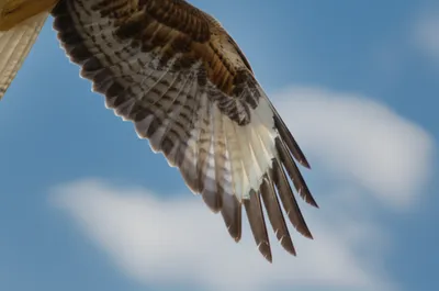 Illustration beams - Image 1