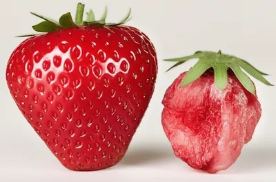 Illustration macerated - Image 1