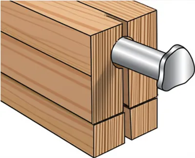 Illustration brad - Image 1