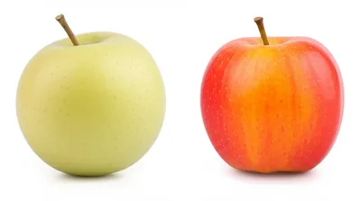 Illustration green - Image 1