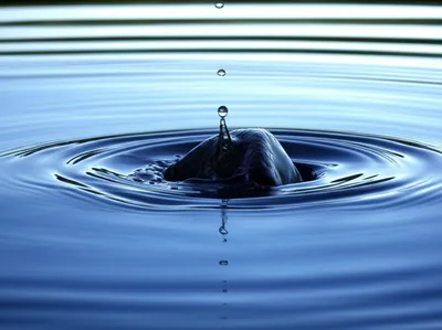 Illustration broke - Image 1