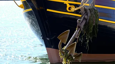 Illustration weigh - Image 1