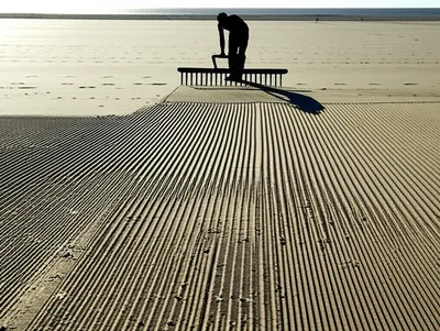 Illustration combed - Image 1