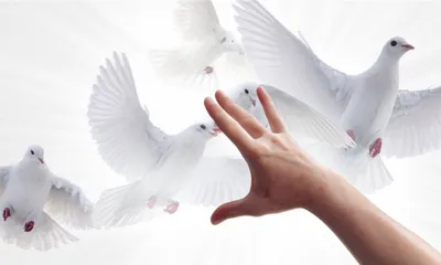 Illustration suppressed - Image 1