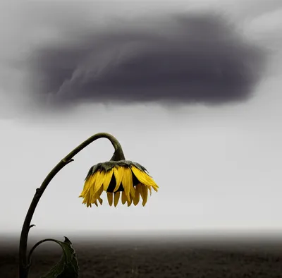 Illustration dispiriting