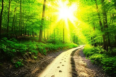 Illustration went - Image 1