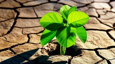 Illustration recovered - Image 1