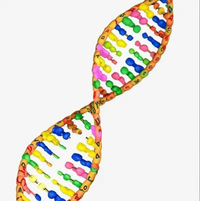 Illustration kilobases - Image 1