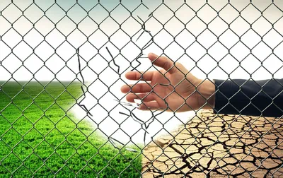 Illustration infringing - Image 1