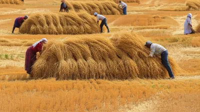 Illustration hutting - Image 1