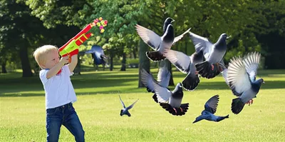 Illustration pellets - Image 1