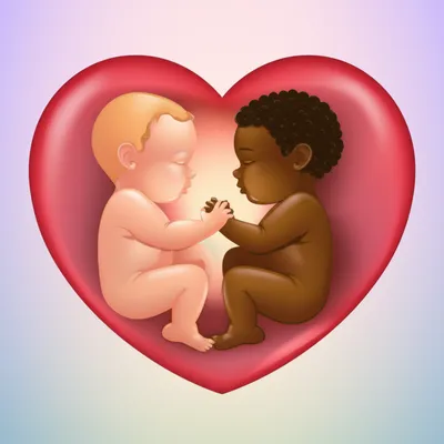 Illustration uterine