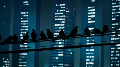 Illustration twittered - Image 1