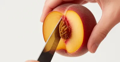 Illustration stone - Image 1