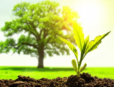 Illustration sprung - Image 1